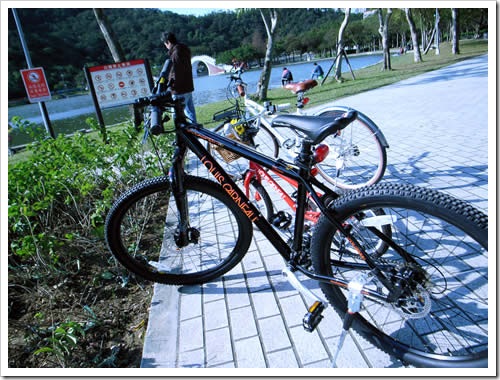 RIMG6694