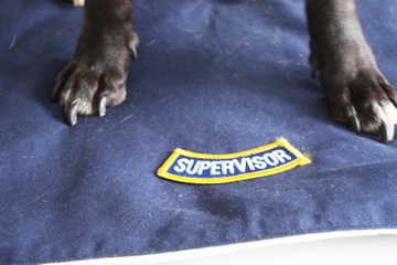 IMG_7299 IMG_7299